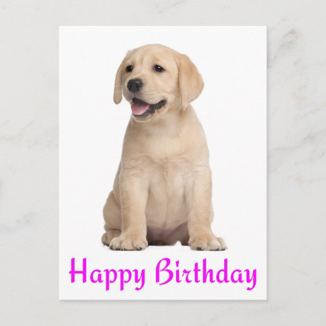 Carte Postale Joyeux anniversaire Yellow Labrador Retriever Cart (Devant)
