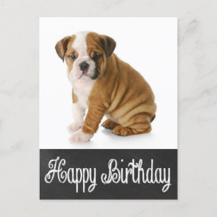 Carte postale Joyeux Birthday Bulldog Puppy Chalkb