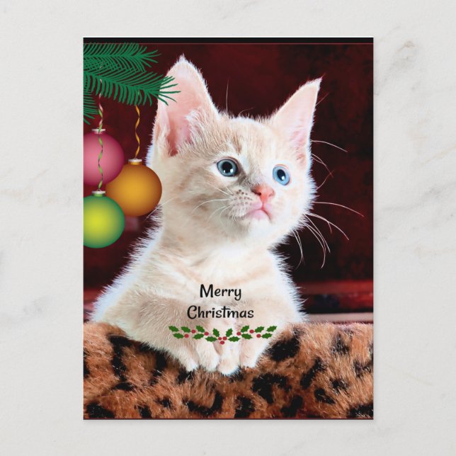 Carte Postale Joyeux cadeau de Noël (Devant)