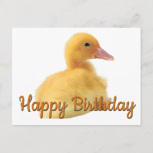 Carte Postale Joyeux canard d'anniversaire