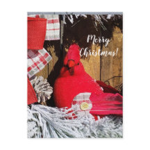 Joyeux Cardinal de Noël