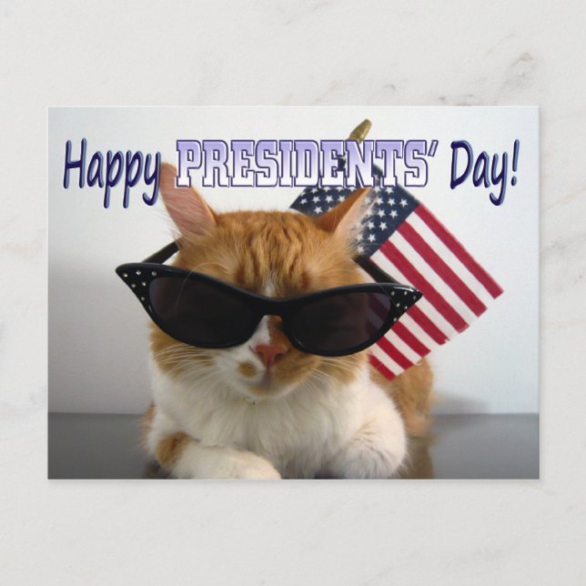 Carte Postale Joyeux Chat Cool de la fête des présidents avec ca (Devant)