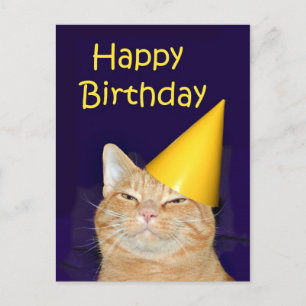 Carte Postale Joyeux chat Joyeux anniversaire