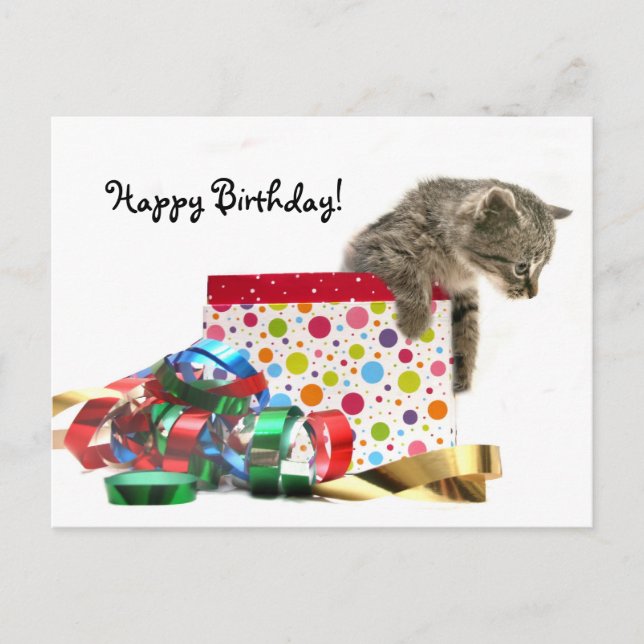 Carte Postale Joyeux chaton d'anniversaire (Devant)