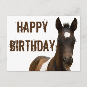 Carte Postale Joyeux Cheval de Colt d'anniversaire
