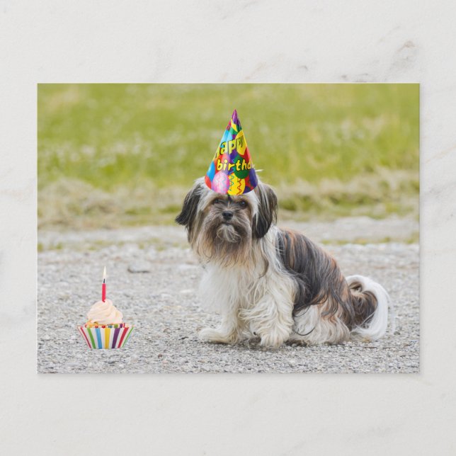 Carte Postale Joyeux chien mignon d'anniversaire avec Cupcake (Devant)
