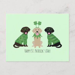 Carte Postale Joyeux Chiens du Labrador Jour de la Saint Patrick