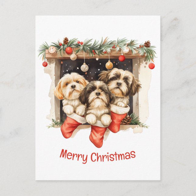Carte Postale Joyeux Chih Tzu Chiens de Noël Shih (Devant)