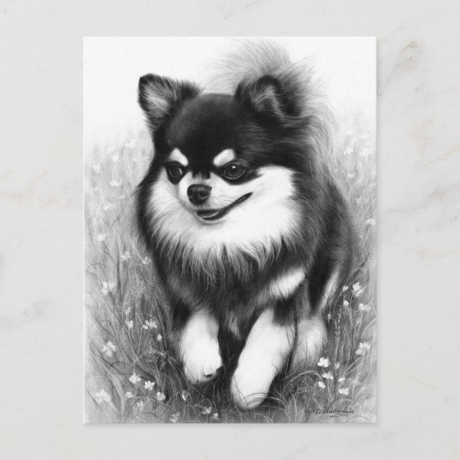 Carte Postale Joyeux Chihuahua dans la main fleurie peint (Devant)