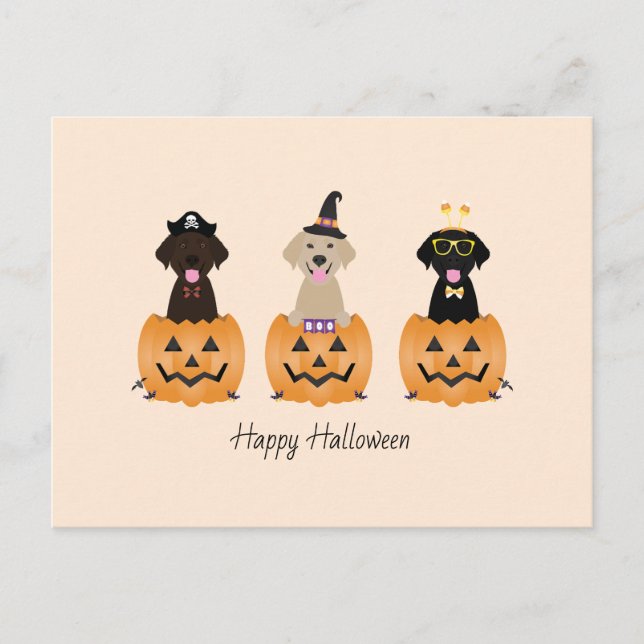 Carte Postale Joyeux Citrouille de chiens de trieuse d'Halloween (Devant)