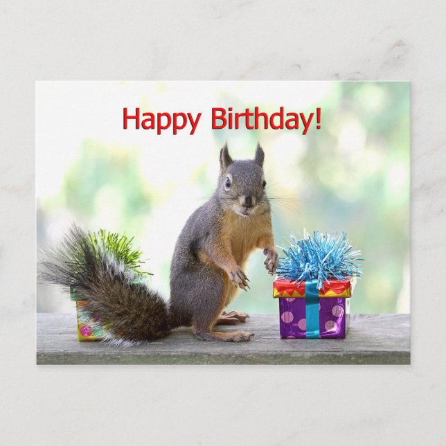 Carte Postale Joyeux écureuil d'anniversaire (Devant)