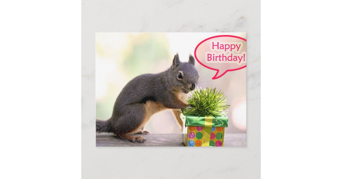 Carte Postale Joyeux Ecureuil D Anniversaire Zazzle Ca