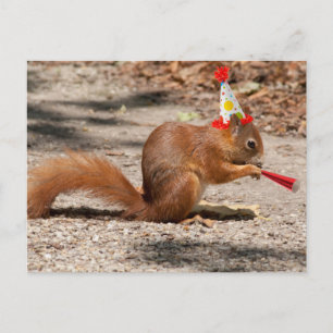 Carte Postale Joyeux écureuil d'anniversaire