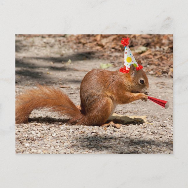 Carte Postale Joyeux écureuil d'anniversaire (Devant)