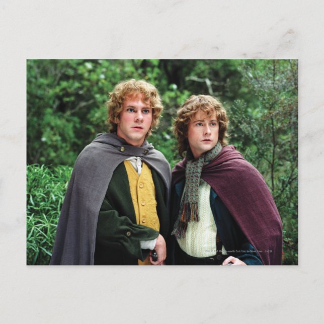 Carte Postale Joyeux et Peregrin (Devant)