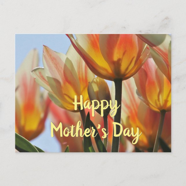 Carte postale Joyeux Fête des Mères Tulips (Devant)