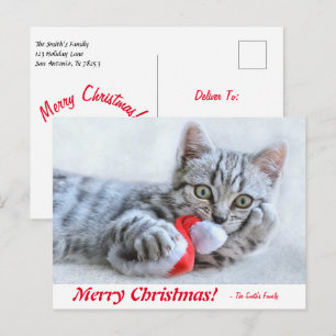 Carte Postale Joyeux Kitten de Noël personnalisé avec chapeau de