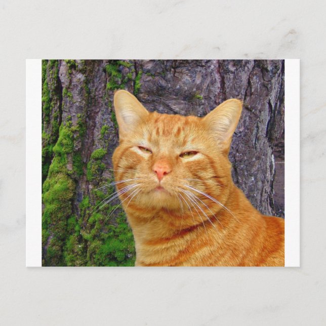Carte Postale Joyeux Kitty Kat ! (Devant)