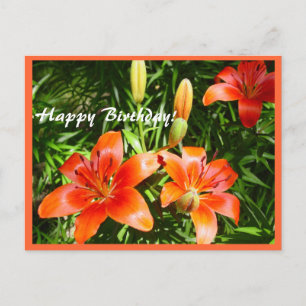 Carte Postale Joyeux Lys d'anniversaire