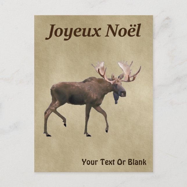 Carte Postale Joyeux Noё l - Oie rousse sur vieux papier (Devant)