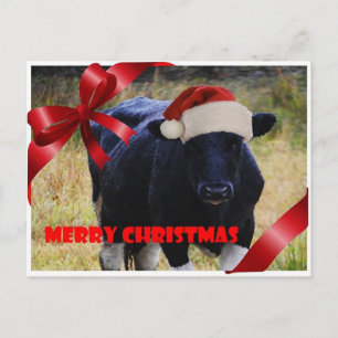 Carte postale Joyeux Noël à la vache noire