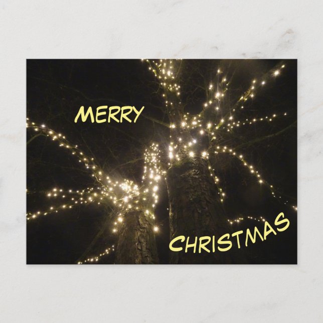 Carte postale Joyeux Noël Arbre extérieur (Devant)