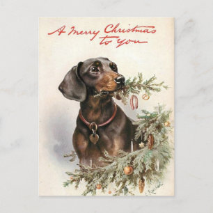 Carte Postale Joyeux Noël chien Teckel