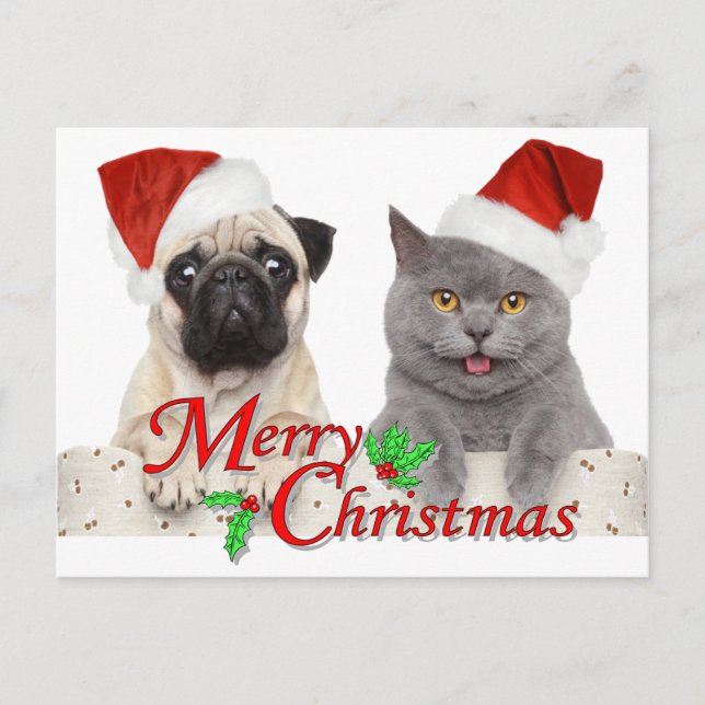Carte Postale Joyeux Noël de Père Noël Cat and Dog (Devant)