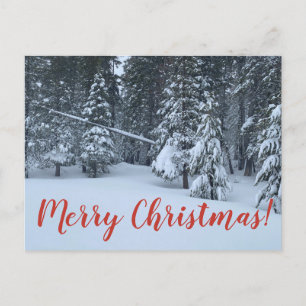 Carte Postale Joyeux Noël de Tahoe City !