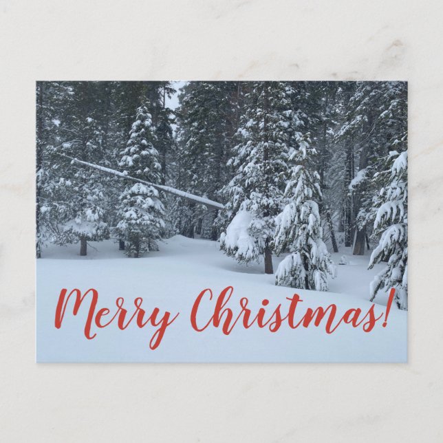 Carte Postale Joyeux Noël de Tahoe City ! (Devant)