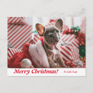 Carte Postale Joyeux Noël Français Chien de taule
