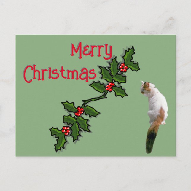 Carte postale - Joyeux Noël Holly et Calico Cat (Devant)
