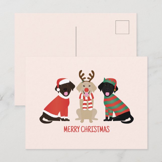 Carte Postale Joyeux Noël Labrador Retriever Dogs (Devant / Derrière)