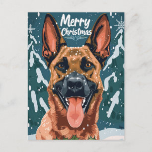 Carte Postale Joyeux Noël Malinois belge