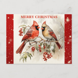 Carte Postale Joyeux Noël mignon Aquarelle Cardinal