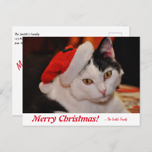 Carte Postale Joyeux Noël personnalisé Chat noir et blanc
