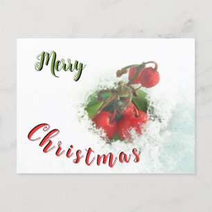 Carte Postale Joyeux Noël Red Berries en Snow Postcard