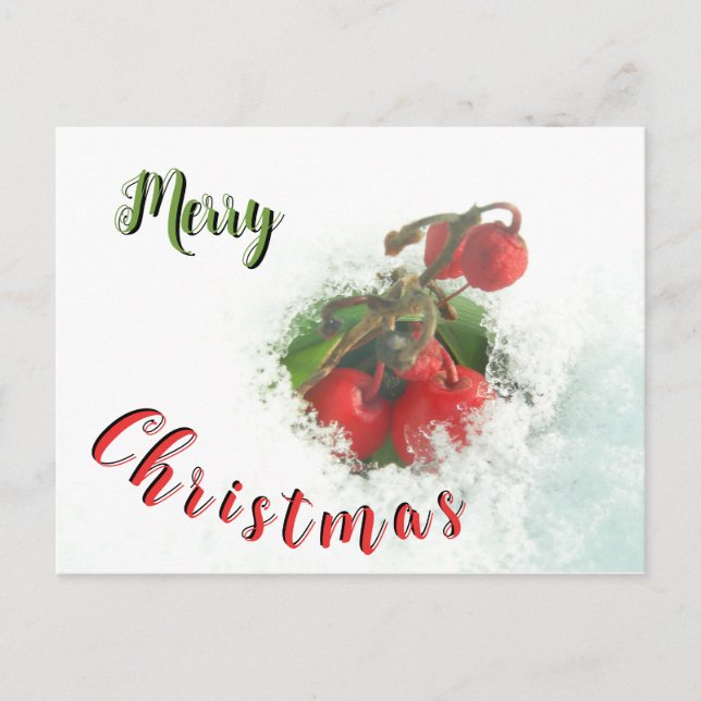 Carte Postale Joyeux Noël Red Berries en Snow Postcard (Devant)