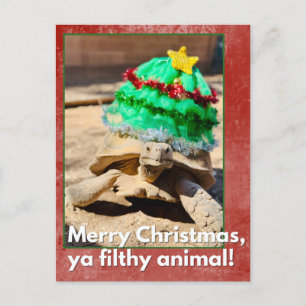 Carte Postale Joyeux Noël, sale bête Tortue sarcastique