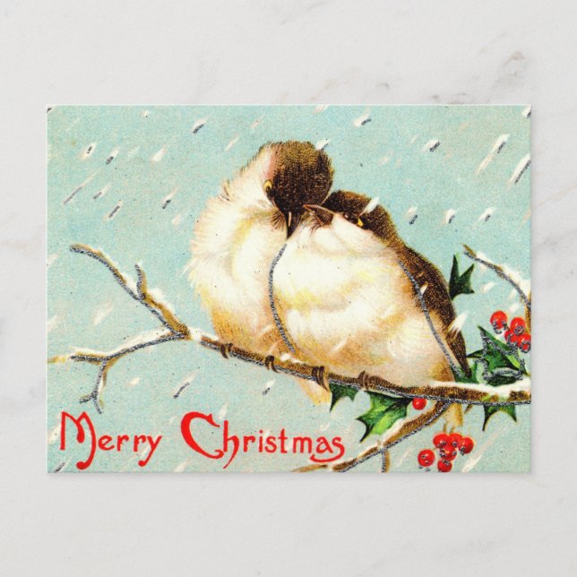 Carte postale Joyeux Oiseaux Vintages Noël (Devant)