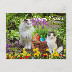 Carte Postale Joyeux Pâques De Vos Vacances De Chat