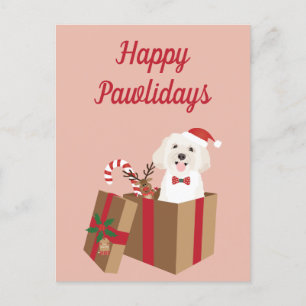 Carte Postale Joyeux Pawlidays Maltipoo Noël présent