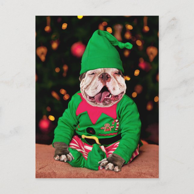 Carte Postale Joyeux Pitmas, Style Pit Bull (Devant)