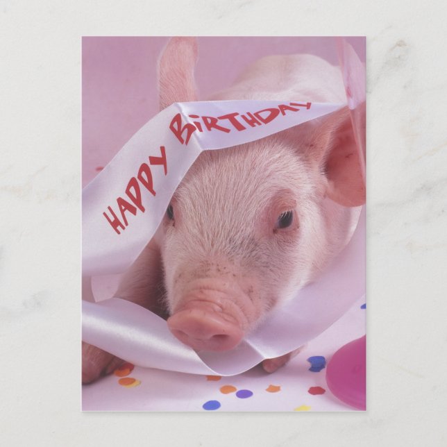 Carte Postale Joyeux porc d'anniversaire (Devant)