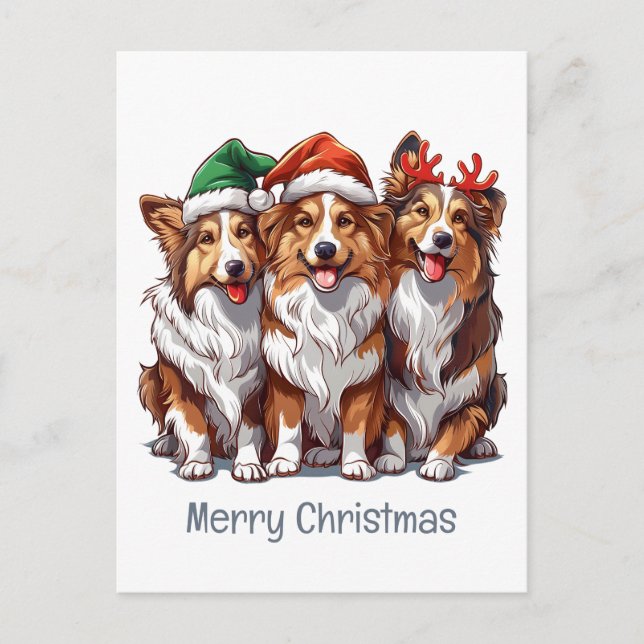 Carte Postale Joyeux Sheepdogs de Noël Shetland (Devant)
