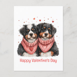 Carte Postale Joyeux Valentin Chiens de montagne bernois