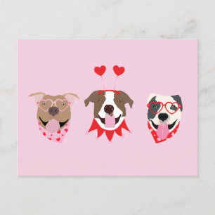 Carte Postale Joyeux Valentines Day American Pit Bull Terriers