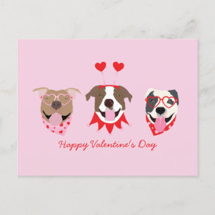 Carte Postale Joyeux Valentines Day American Pit Bull Terriers