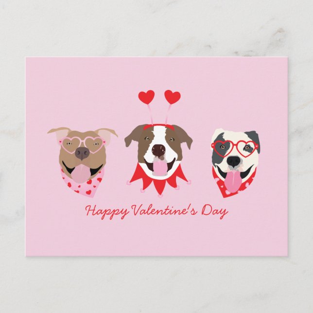 Carte Postale Joyeux Valentines Day American Pit Bull Terriers (Devant)