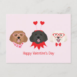 Carte Postale Joyeux Valentines Day Chiens de Maltipoo